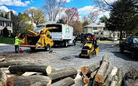 Best Tree Health Inspection  in Prospect, PA